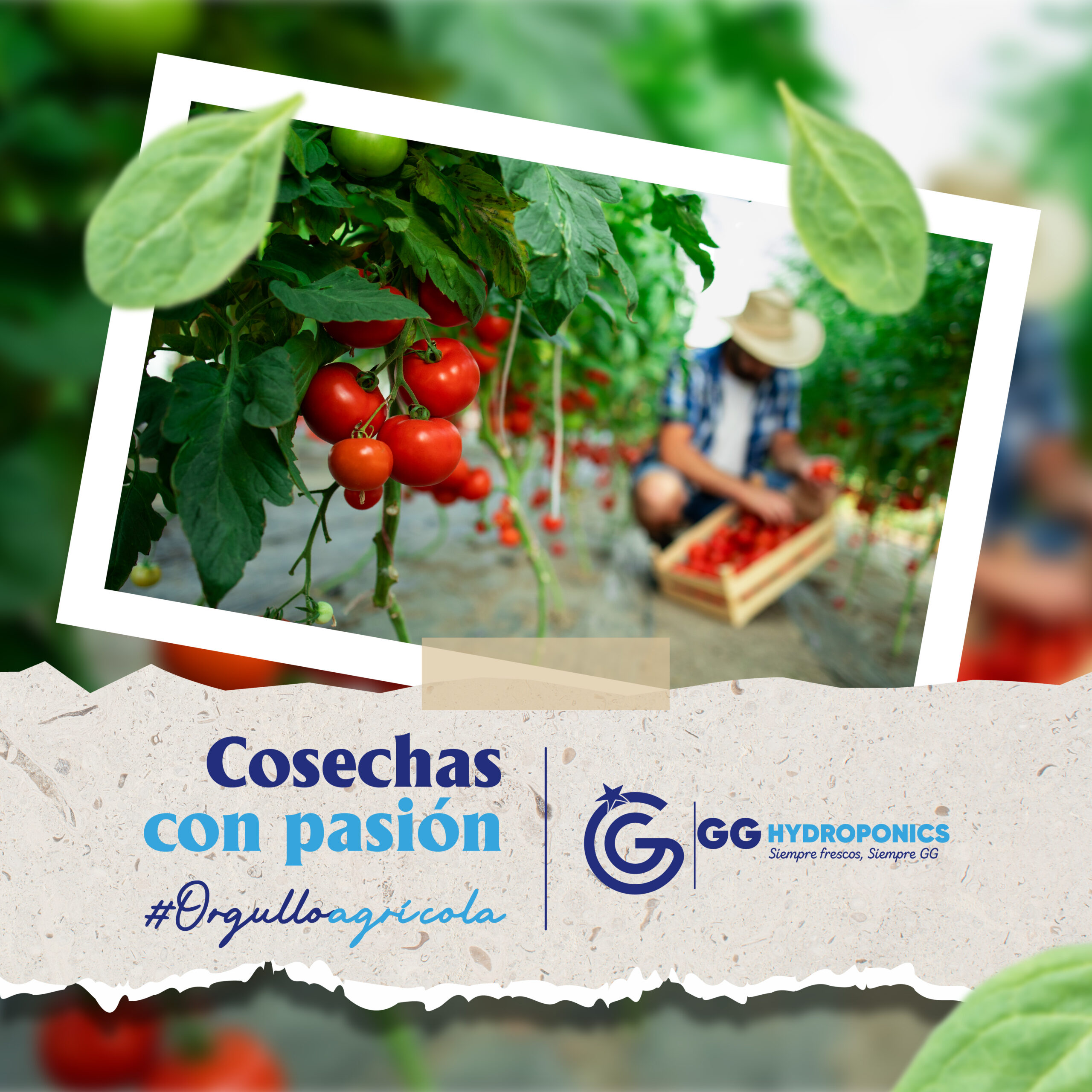 El Orgullo de Ser una Empresa 100% Mexicana