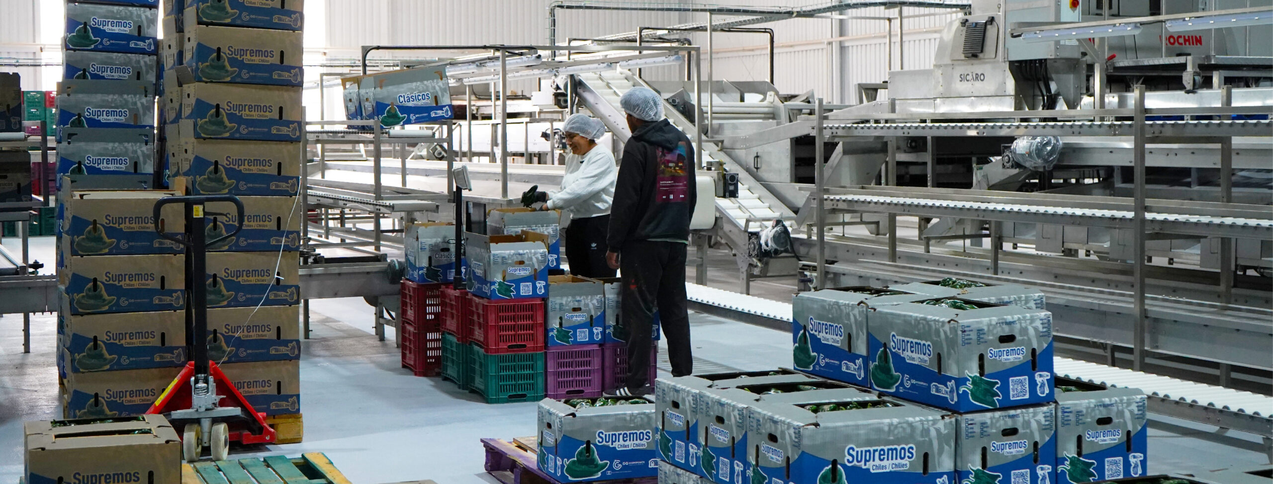 GG: Orgullo mexicano que se cultiva todos los días