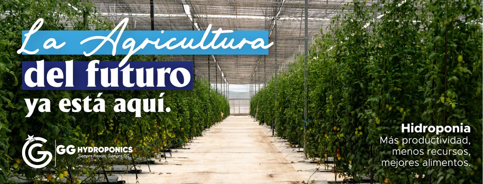 La agricultura del futuro ya está aquí: innovación que transforma el campo