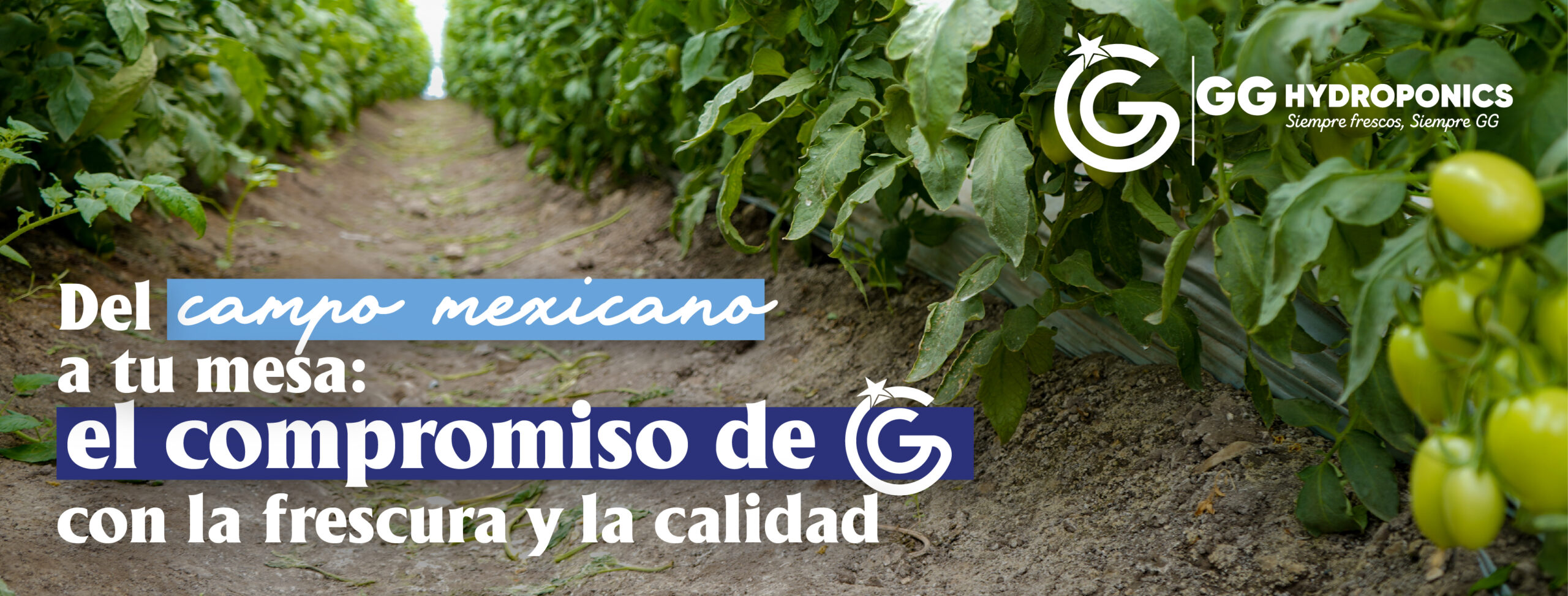 Cultivando calidad, cosechando confianza.